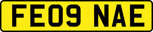 FE09NAE
