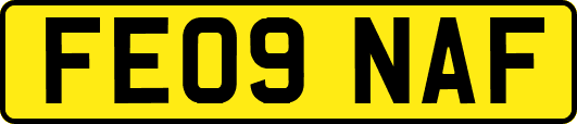 FE09NAF