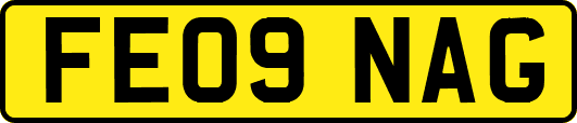 FE09NAG