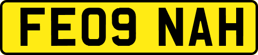 FE09NAH