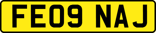 FE09NAJ