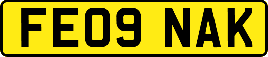 FE09NAK