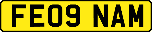 FE09NAM