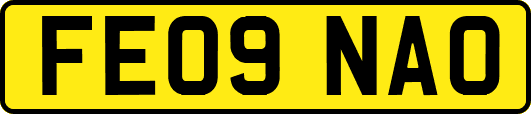 FE09NAO