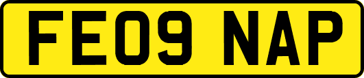 FE09NAP
