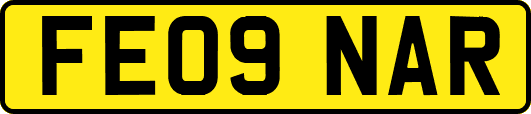 FE09NAR