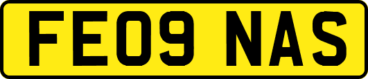FE09NAS