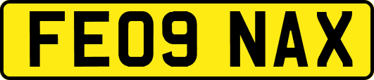 FE09NAX