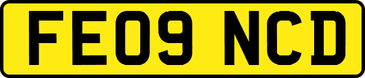 FE09NCD
