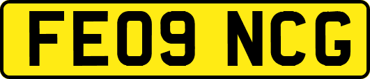 FE09NCG