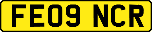 FE09NCR