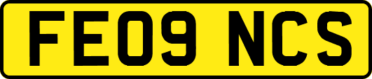FE09NCS