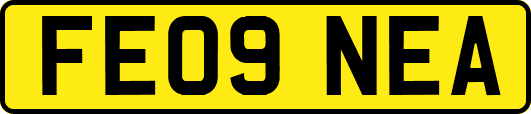 FE09NEA