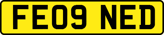 FE09NED