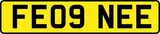 FE09NEE