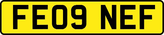 FE09NEF