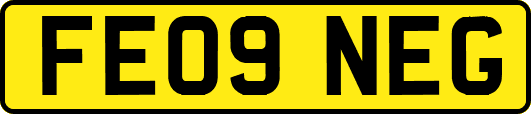 FE09NEG