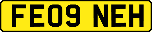 FE09NEH