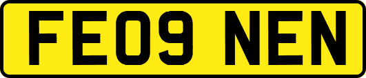 FE09NEN