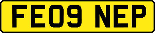 FE09NEP