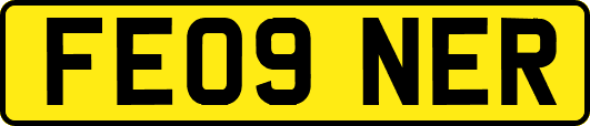FE09NER