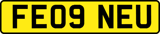 FE09NEU