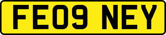 FE09NEY