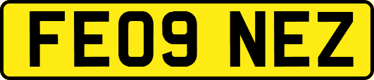 FE09NEZ