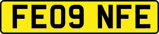 FE09NFE