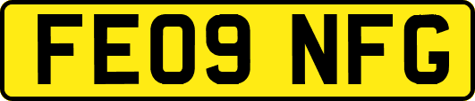 FE09NFG