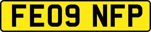 FE09NFP