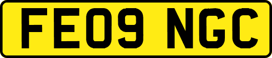 FE09NGC