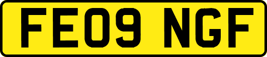 FE09NGF