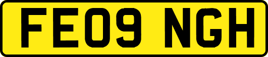FE09NGH