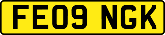FE09NGK