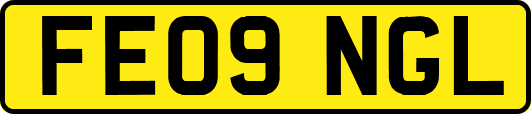 FE09NGL