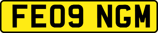 FE09NGM
