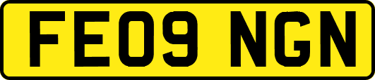 FE09NGN