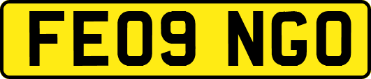 FE09NGO