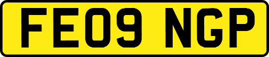 FE09NGP