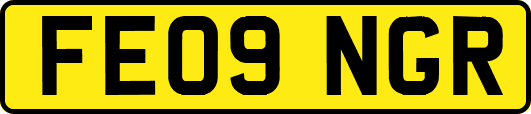 FE09NGR