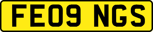 FE09NGS