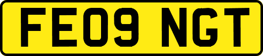 FE09NGT