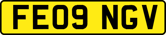 FE09NGV