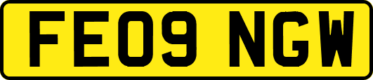 FE09NGW