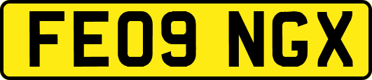 FE09NGX