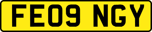 FE09NGY