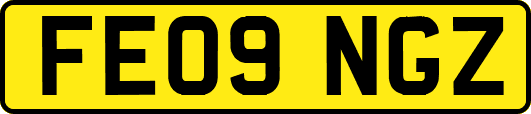 FE09NGZ