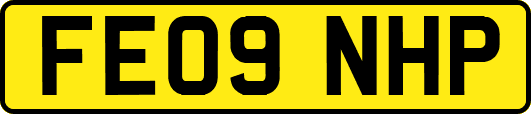 FE09NHP