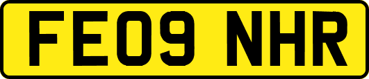 FE09NHR
